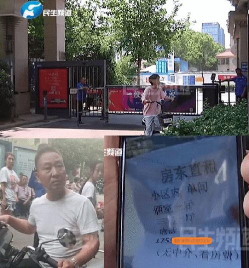 小区治安最新爆料,最新爆料揭示安全新动态